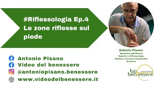 Riflessologia Ep4  Le zone riflesse sul piede [upl. by Avner]