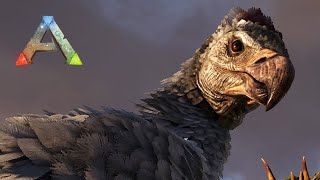 Domando uma Argentavis  Primeira montaria voadora  ARK ASCENDED  Scorched Earth  20 [upl. by Lladnarc]