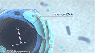 Real Time QPCR Data Analysis Tutorial [upl. by Druci259]