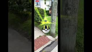 Catching Scatterbug in AR 664 dfm pokemon pokemongo augmentedrealitygame scatterbug fyp [upl. by Midis526]