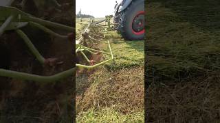 no better way to dry the hay then tedding right after cutting [upl. by Ahsrat901]