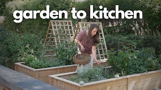 How I Use My Herb Garden [upl. by Buckingham]