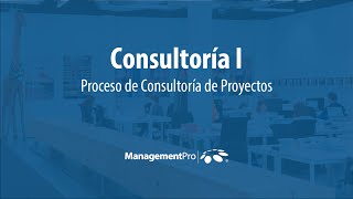 Proceso de Consultoría [upl. by Nyrrat]