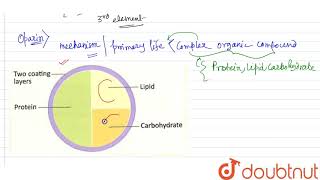 Describe the coacervate model [upl. by Christiansen611]