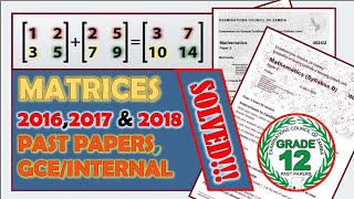 MATRICES  G12 ECZ Math P2  2016 20172018  GCE  Internal Zambia education [upl. by Odericus]