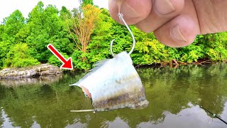 If You Like To Eat Catfish  Easy Way To Catch Loads [upl. by Thibaud]