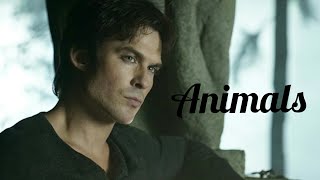 Damon Salvatore Vampires diaries  Animals [upl. by Tnek]