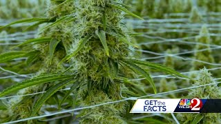 Fact checking a Vote No On 3” ad against recreational marijuana in Florida [upl. by Ataga]