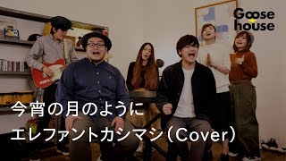 今宵の月のように／エレファントカシマシ（Cover） [upl. by Eicyaj853]