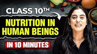 NUTRITION IN HUMAN BEINGS Complete Topic in 10 Minutes  Class 10th Board Exam ⚡ [upl. by Yhprum]