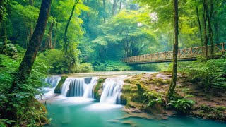 Relaxing Music For Stress Relief Anxiety and Depressive States • Heal Mind Body and Soul [upl. by Dennison]