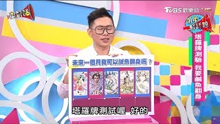 【塔羅牌測驗】未來一個月我可以鹹魚翻身嗎？星鮮話 20180119 [upl. by Anilah223]