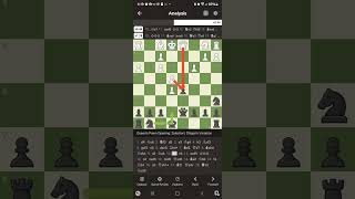 checkmate chessmakta Chigorin traps are fun Heres a falkbeer into zukertort [upl. by Floris447]