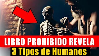 Libro PROHIBIDO Revela TRES Tipos de Humanos  ¿Cuál ERES tú [upl. by Asemaj]