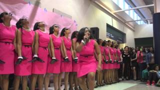 Kappa Gamma Chapter of Alpha Kappa Alpha Sorority Inc Spring 2013 Neophyte Presentation [upl. by Vizzone]