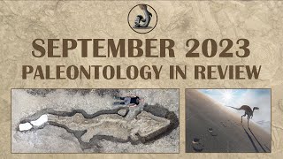 September 2023 Paleontology Review [upl. by Lyell68]