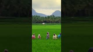 Kerala New post short video facebook instagram youtube twitter tiktok [upl. by Olds258]