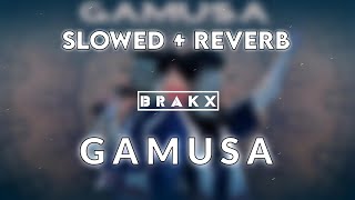 GAMUSA  KLANZ  SLOWED  REVERB   B R A K X MUSIC [upl. by Ahsitra]