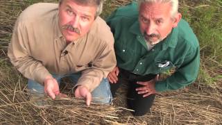 Soil health lesson in a minute discover the cover [upl. by Ellebanna]