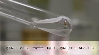 047NG Quecksilbersalz Lösung mit Ammoniak [upl. by Ibby]