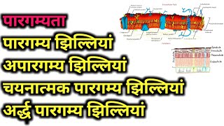 Permeability in Hindi  class 11 12 botany in hindi [upl. by Abibah277]