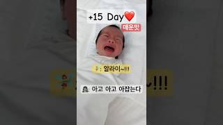 세상 서러운 15일차 신생아🫶 아기 baby 신생아 cute 졸귀탱 육아 cutebaby 육아브이로그 육아일기 매운맛 [upl. by Yaya23]