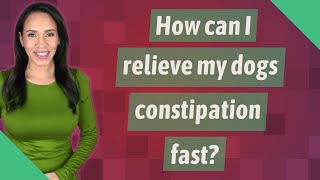 How can I relieve my dogs constipation fast [upl. by Lauer925]