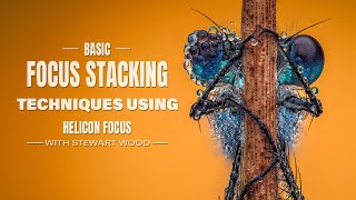 Basic focus Stacking Techniques with Helicon Focus  Tip amp Tricks [upl. by Blanc843]