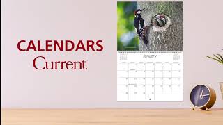 Current Wall Calendars [upl. by Snave]