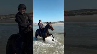 Le 🐴 qui devient 🐠 vlog cavaliere equitation [upl. by Eirot308]