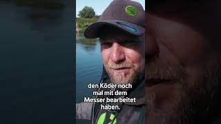 Auftrieb perfekt anpassen zeckfishing wallerangeln deadbait köfi [upl. by Akital]