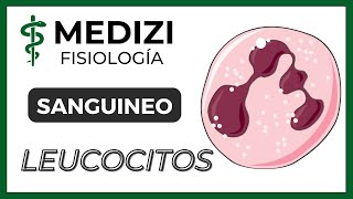 Clase 33 Fisiología Sanguínea  Leucocitos e Inflamación IGdoctorpaiva [upl. by Cathyleen951]