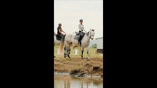 Portable Showers for Horses 🐴✨ [upl. by Eelyrag]