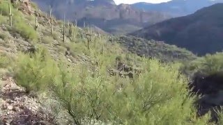 Marsh Valley Loop  Superstition Wilderness [upl. by Zerlina525]