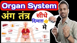 Organ system  how many types of organ system manushya mein kitne Prakar ke ank Tantra Hota Hai [upl. by Akeylah963]