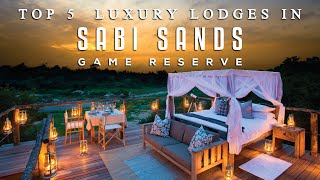 Top 5 Luxury Lodges in Sabi Sands Game Reserve  South Africa Luxury Safari [upl. by Ibrab]