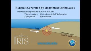 Tsunamis Generated by Megathrust Earthquakes [upl. by Kerns940]