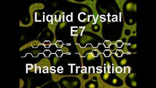 E7 Nematic Liquid Crystal Phase Transition Heating up [upl. by Akirdnuhs]