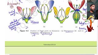 Morphology of flowering plants part 4  Class 11  The Flower  NEET [upl. by Macdougall]