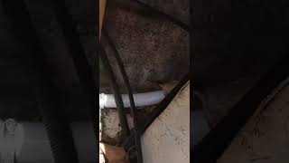 Installing a Raritan Marine Elegance Toilet diy boatrenovation boating toilet [upl. by Sordnaxela]