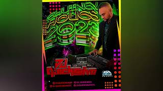 Chutney Holics 2023 DJ Quicksilva [upl. by Suzetta]