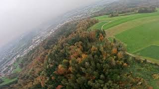 Fall Treetops near Zürich [upl. by Tiffanle]