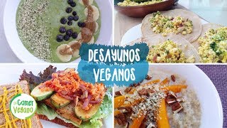 ðŸŒ± 4 DESAYUNOS NUTRITIVOS Y FÃCILES  Comer Vegano [upl. by Gillie351]