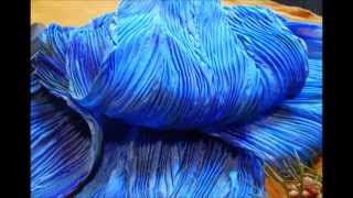 How to make a Batik Feather Shibori Silk Scarf [upl. by Beshore495]