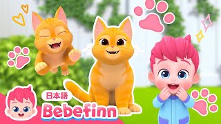 ねこのうた🐈  73話  ニャーニャーかわいい猫ちゃん  The Cat Song 日本語バージョン  べべフィン Bebefinn  子どもの歌 [upl. by Jacobsohn36]