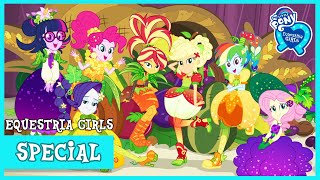 MLP Equestria Girls  Holidays Unwrapped HD [upl. by Jarid263]