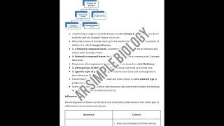 last minute quick notes for morphology of flowering plants [upl. by Carrie]