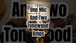 Not a paid ad or anything We just love these things ❤️ ToneWoodAmpMagic tonewoodamp guitar [upl. by Kumler]