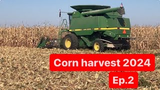 Big bushels of corn Corn harvest 2024 2 [upl. by Adnohr]