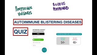 Blisters Pemphigus Vulgaris vs Bullous Pemphigoid  USMLE  MCQs [upl. by Eardnaed736]